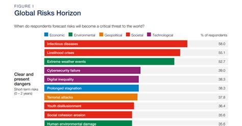 The Top Global Risks of 2021 .